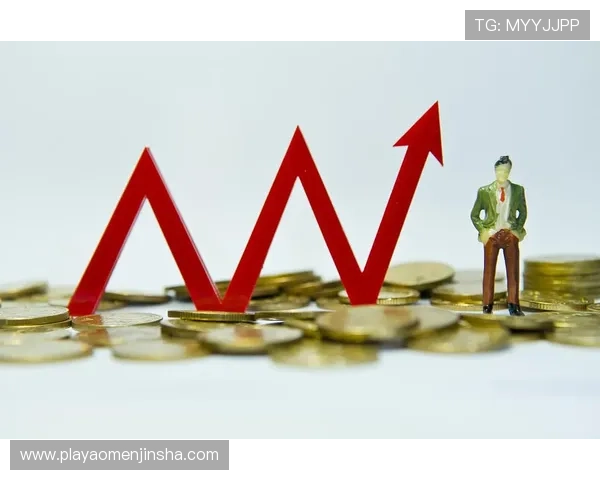 金沙中国财报数据全面解析,助力投资者把握公司财务健康与投资价值