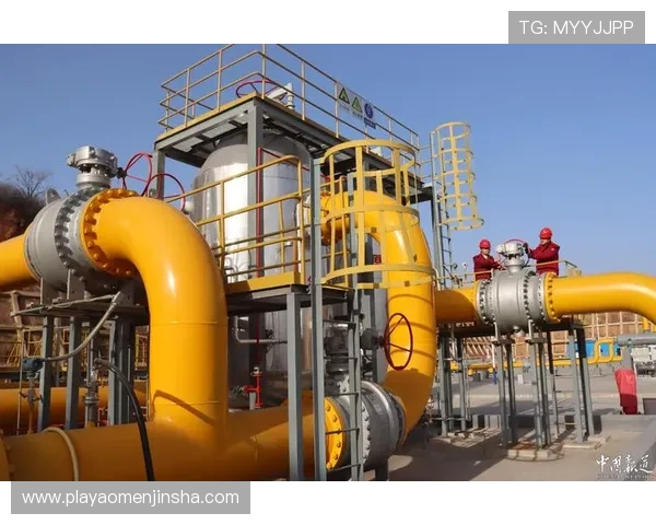 大阳城平台网页版安全登录流程及常见问题解决方案汇总