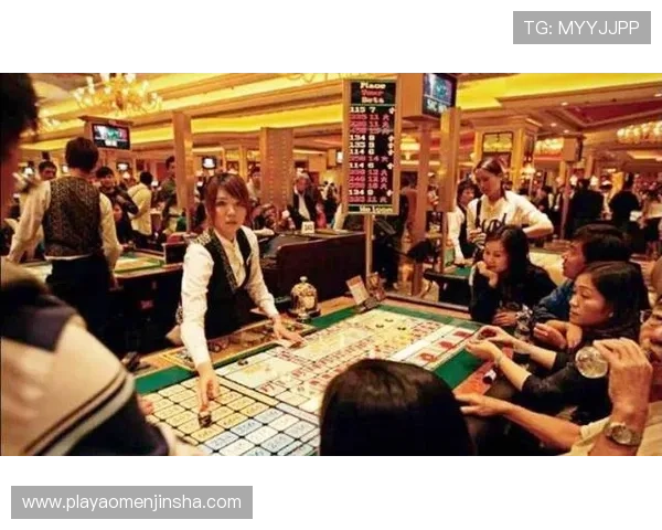 澳门赌场不同年龄段玩家比例详解：影响赌博行为的年龄结构因素