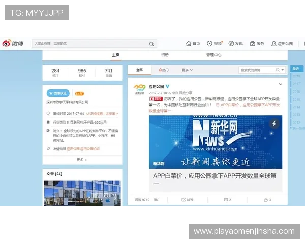 金沙国际app下载官方渠道，确保每位玩家都能享受正版游戏乐趣